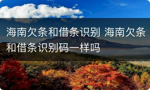 海南欠条和借条识别 海南欠条和借条识别码一样吗