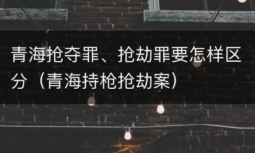 青海抢夺罪、抢劫罪要怎样区分（青海持枪抢劫案）