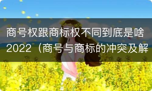 商号权跟商标权不同到底是啥2022（商号与商标的冲突及解决措施）