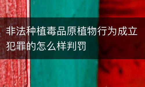 非法种植毒品原植物行为成立犯罪的怎么样判罚