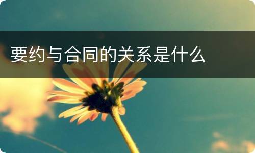 要约与合同的关系是什么