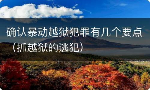 确认暴动越狱犯罪有几个要点（抓越狱的逃犯）
