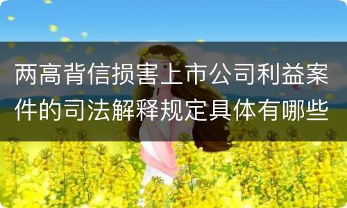两高背信损害上市公司利益案件的司法解释规定具体有哪些重要内容
