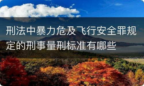刑法中暴力危及飞行安全罪规定的刑事量刑标准有哪些