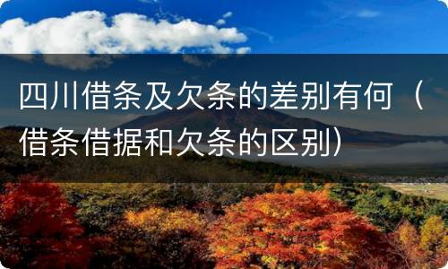 四川借条及欠条的差别有何（借条借据和欠条的区别）