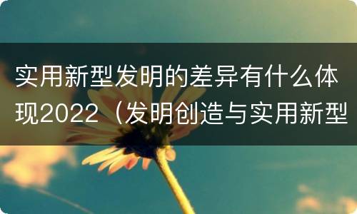 实用新型发明的差异有什么体现2022（发明创造与实用新型的区别）