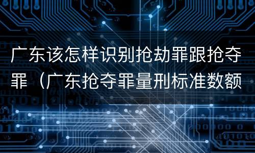 广东该怎样识别抢劫罪跟抢夺罪(广东抢夺罪量刑标准数额)