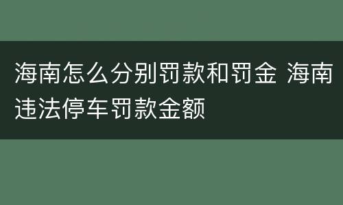 海南怎么分别罚款和罚金 海南违法停车罚款金额
