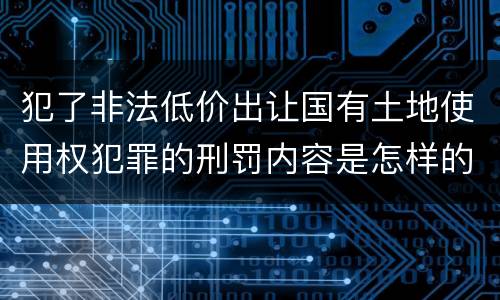 犯了非法低价出让国有土地使用权犯罪的刑罚内容是怎样的