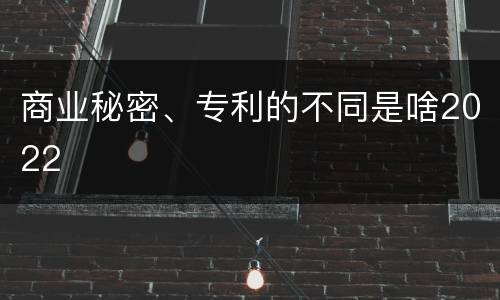 商业秘密、专利的不同是啥2022