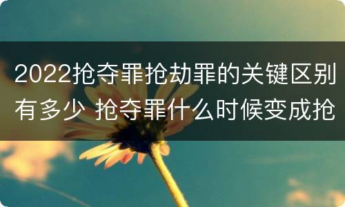 2022抢夺罪抢劫罪的关键区别有多少 抢夺罪什么时候变成抢劫罪