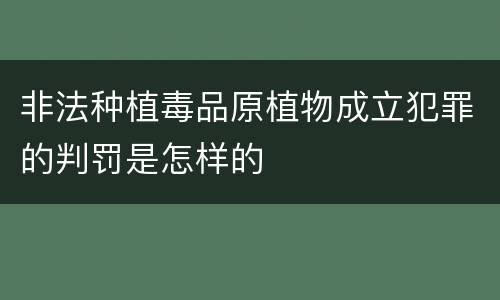 非法种植毒品原植物成立犯罪的判罚是怎样的