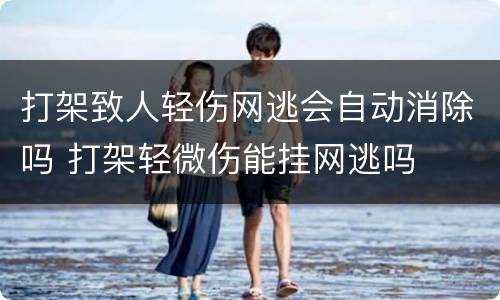 打架致人轻伤网逃会自动消除吗 打架轻微伤能挂网逃吗