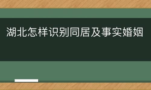 湖北怎样识别同居及事实婚姻