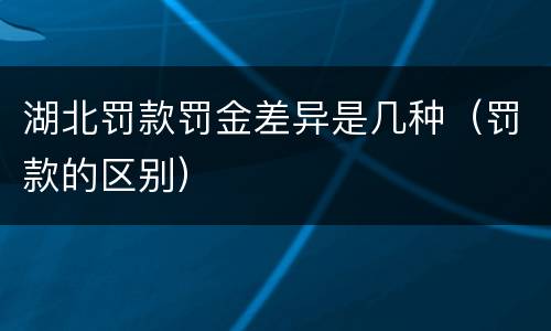 湖北罚款罚金差异是几种（罚款的区别）
