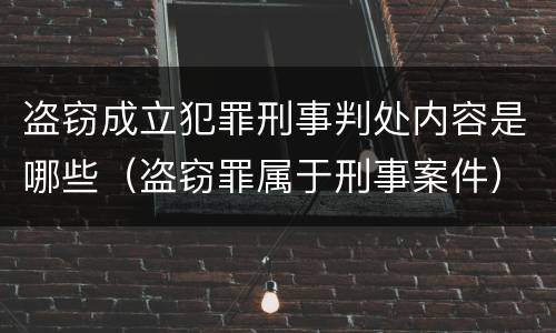 盗窃成立犯罪刑事判处内容是哪些（盗窃罪属于刑事案件）