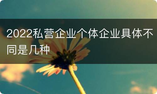 2022私营企业个体企业具体不同是几种