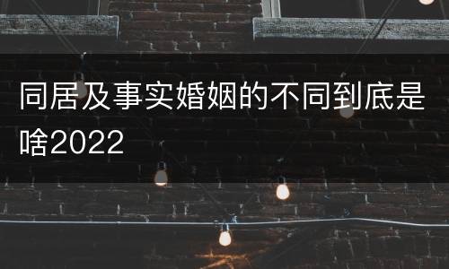 同居及事实婚姻的不同到底是啥2022