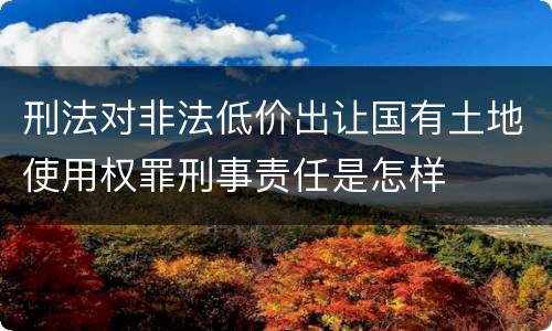 刑法对非法低价出让国有土地使用权罪刑事责任是怎样