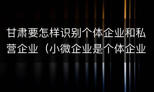 甘肃要怎样识别个体企业和私营企业（小微企业是个体企业还是私营企业）