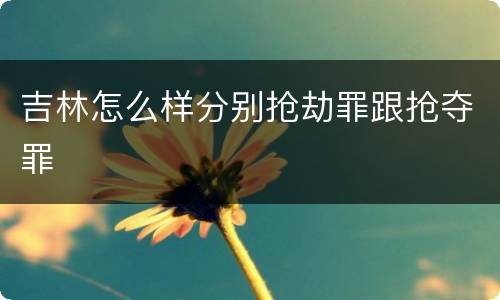 吉林怎么样分别抢劫罪跟抢夺罪