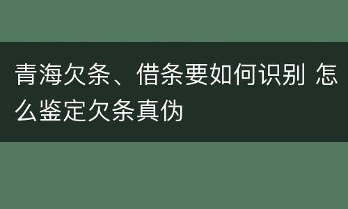 青海欠条、借条要如何识别 怎么鉴定欠条真伪