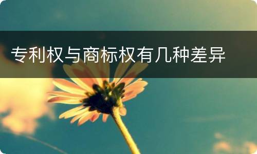 专利权与商标权有几种差异