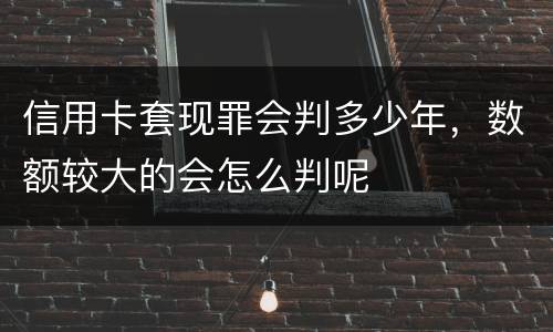 信用卡套现罪会判多少年，数额较大的会怎么判呢