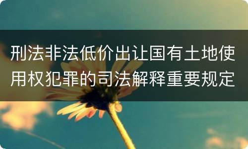 刑法非法低价出让国有土地使用权犯罪的司法解释重要规定包括什么