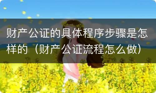 财产公证的具体程序步骤是怎样的（财产公证流程怎么做）