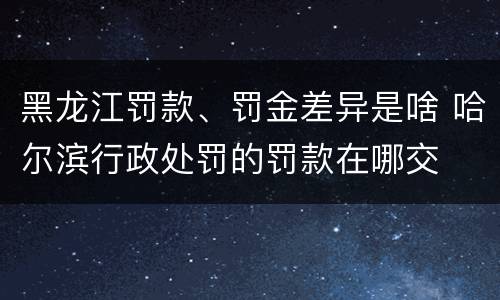 黑龙江罚款、罚金差异是啥 哈尔滨行政处罚的罚款在哪交