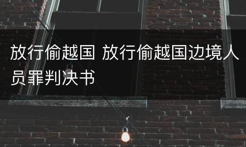 放行偷越国 放行偷越国边境人员罪判决书