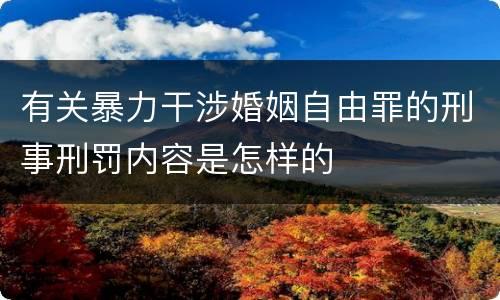 有关暴力干涉婚姻自由罪的刑事刑罚内容是怎样的