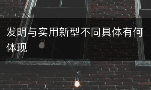 发明与实用新型不同具体有何体现