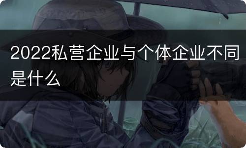2022私营企业与个体企业不同是什么