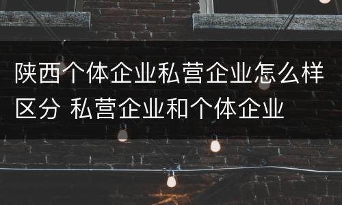 陕西个体企业私营企业怎么样区分 私营企业和个体企业