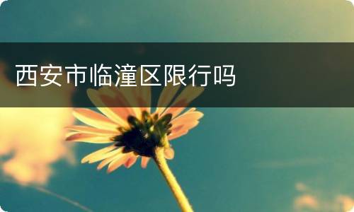 西安市临潼区限行吗