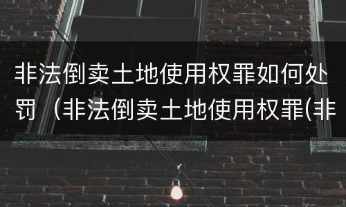 非法倒卖土地使用权罪如何处罚（非法倒卖土地使用权罪(非法获利如何认定）
