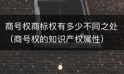 商号权商标权有多少不同之处（商号权的知识产权属性）