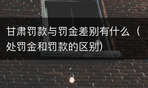 甘肃罚款与罚金差别有什么（处罚金和罚款的区别）