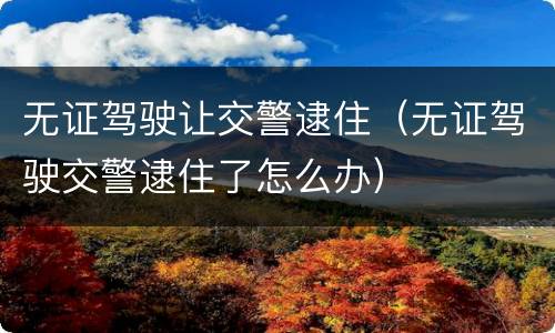 无证驾驶让交警逮住（无证驾驶交警逮住了怎么办）