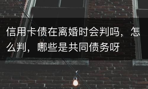 信用卡债在离婚时会判吗，怎么判，哪些是共同债务呀