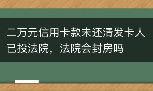 二万元信用卡款未还清发卡人已投法院，法院会封房吗
