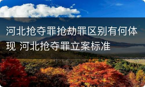河北抢夺罪抢劫罪区别有何体现 河北抢夺罪立案标准