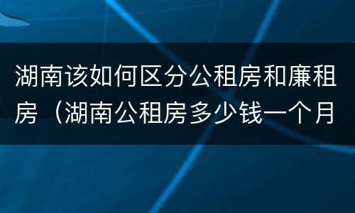 湖南该如何区分公租房和廉租房（湖南公租房多少钱一个月）
