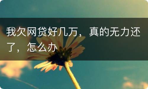 我欠网贷好几万，真的无力还了，怎么办