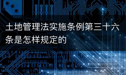 土地管理法实施条例第三十六条是怎样规定的