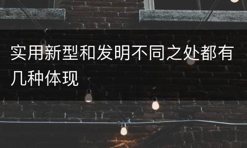 实用新型和发明不同之处都有几种体现