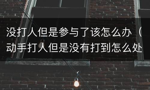 没打人但是参与了该怎么办（动手打人但是没有打到怎么处理?）
