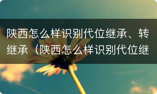 陕西怎么样识别代位继承、转继承（陕西怎么样识别代位继承,转继承继承人）